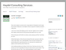 Tablet Screenshot of haydelconsultingservices.com